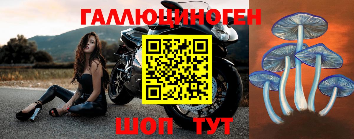 Алушта  наркошоп  Вход с VPN  Псилоцибиновые грибы Psilocybine cubensis  Галлюциногенные грибы ЛСД 